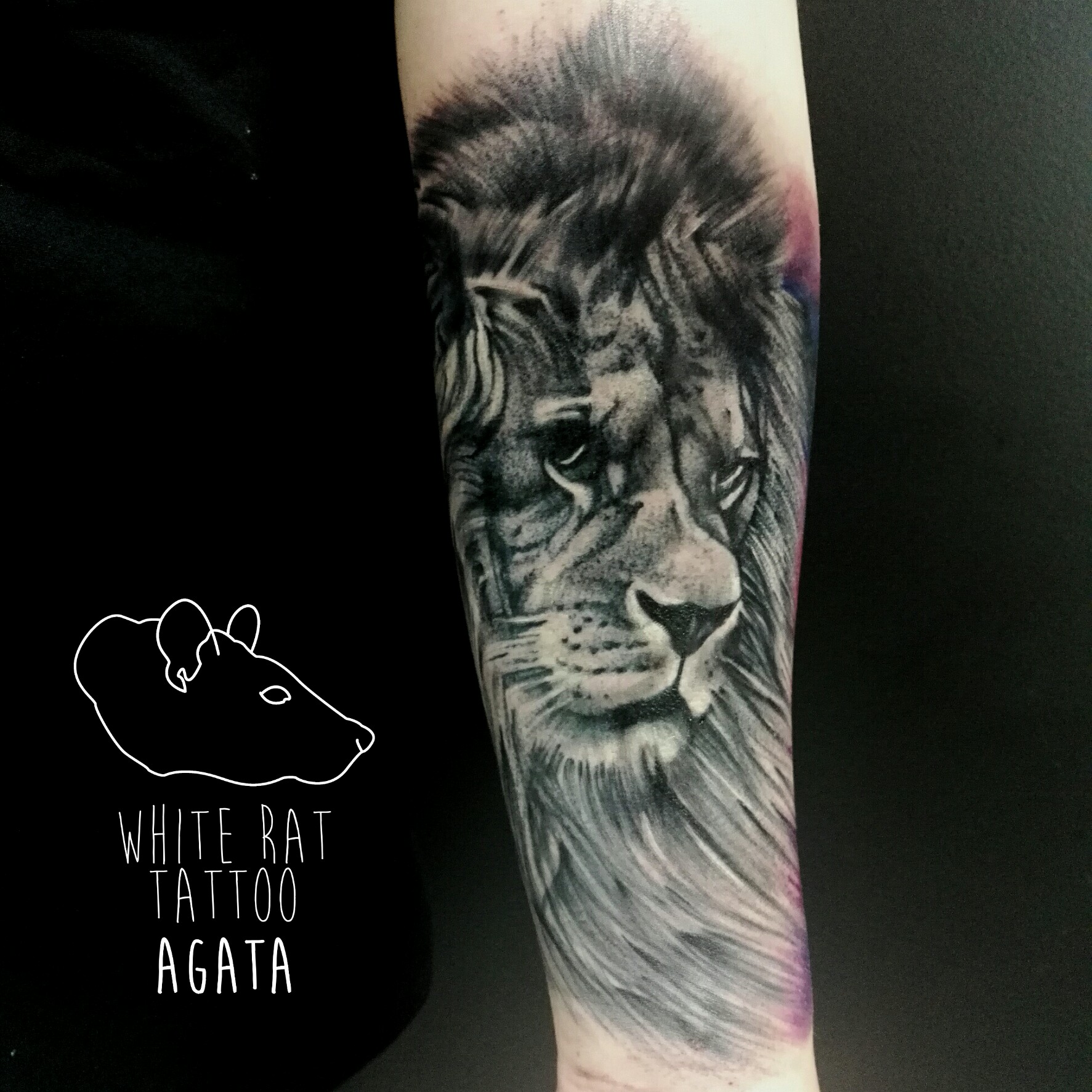 Tatuaż lwa wykonany przez Agatę Kacperczyk w studio tatuażu White Rat Tattoo Warszawa