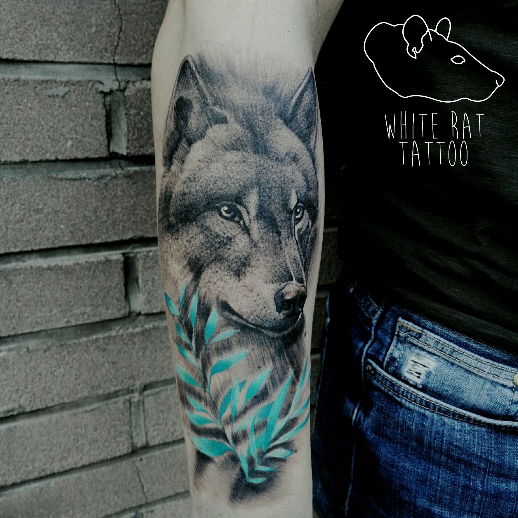 Tatuaż wilka wykonany przez Agatę Kacperczyk w studio tatuażu White Rat Tattoo Warszawa