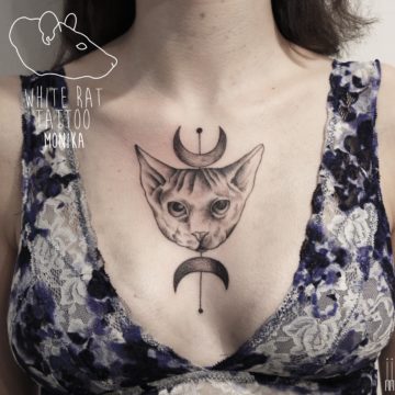 Monika Michniewicz Studio Tatuażu Warszawa White Rat Tattoo Tatuaż Kota
