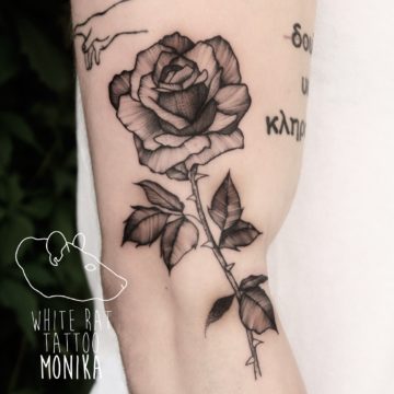 Monika Michniewicz Studio Tatuażu Warszawa White Rat Tattoo Tatuaż Róża