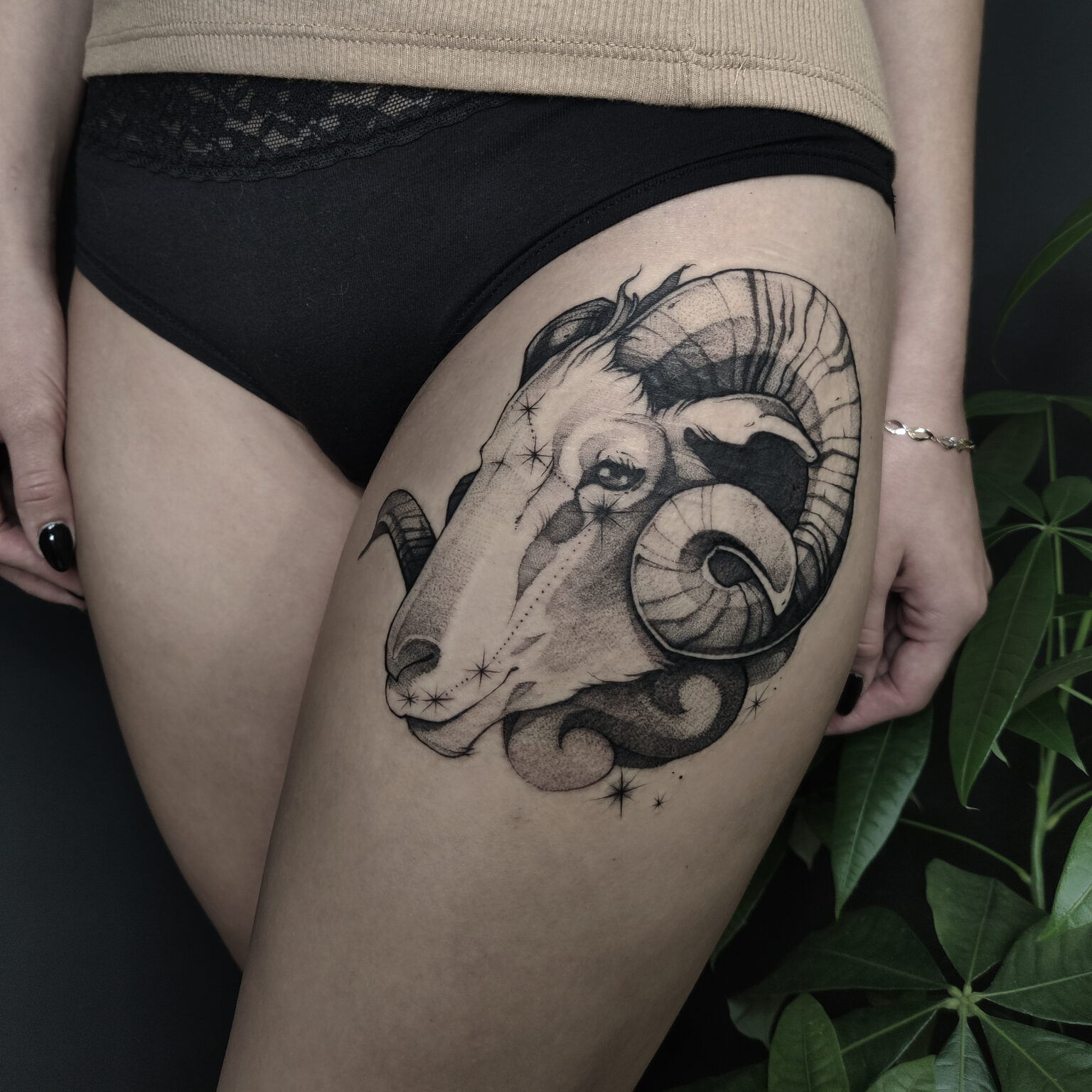 White Rat Tattoo studio tatuażu Warszawa Foxey tatuaż baran