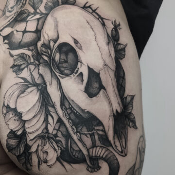 White Rat Tattoo studio tatuażu Warszawa Foxey tatuaż czaszka