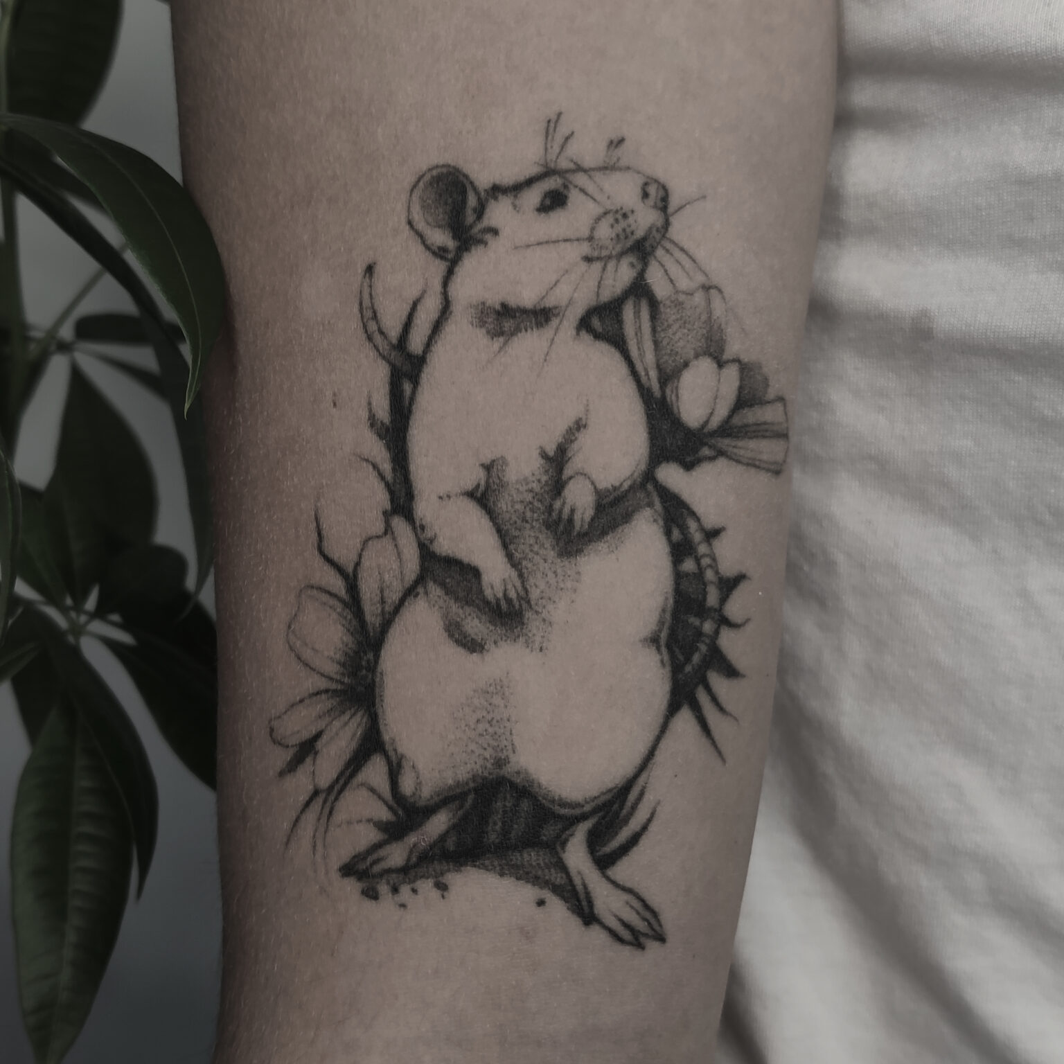 White Rat Tattoo studio tatuażu Warszawa Foxey tatuaż stojący szczur