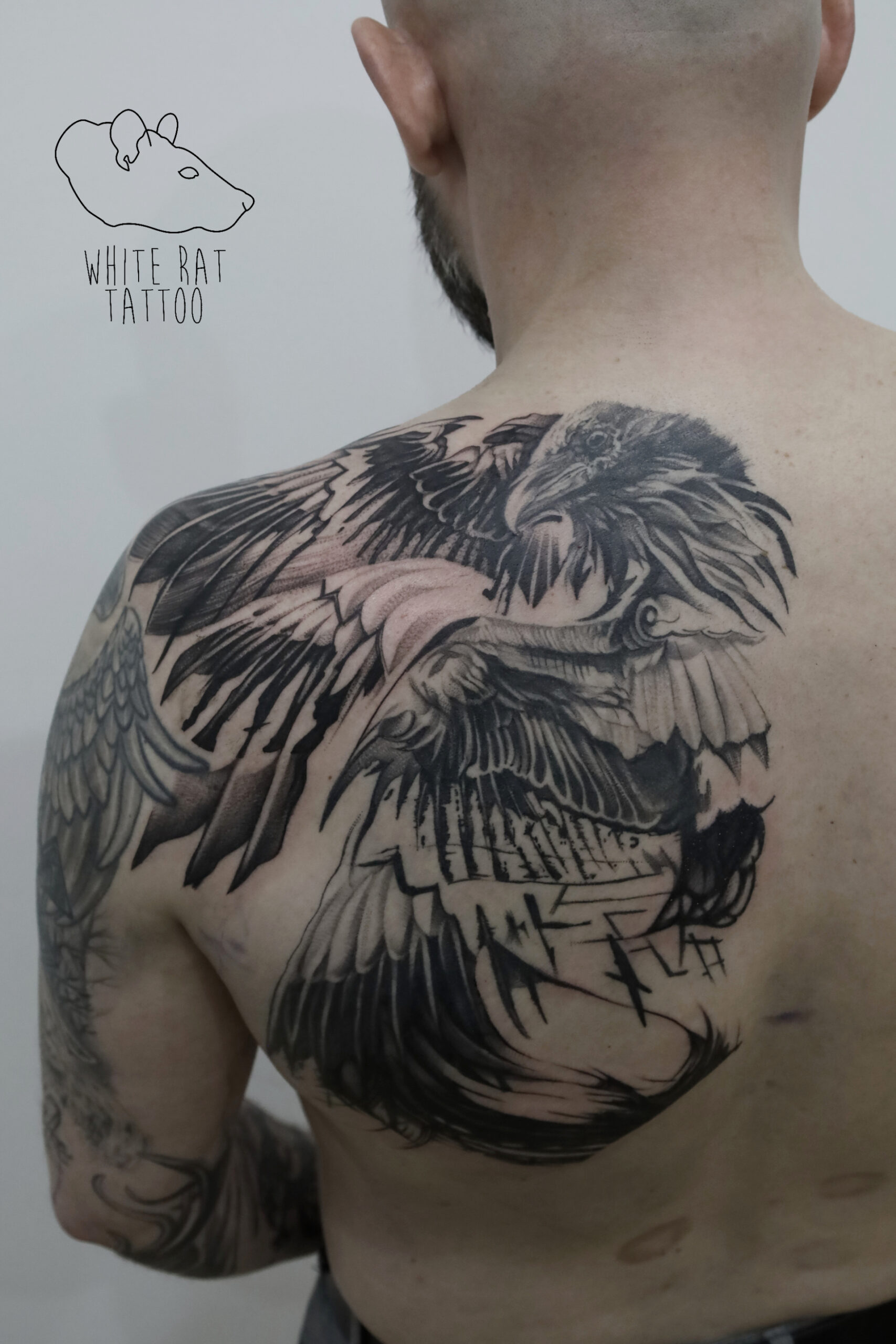 White Rat Tattoo Studio Tatuażu Warszawa Tomek Realistyczny Tatuaż Plecy Kruk